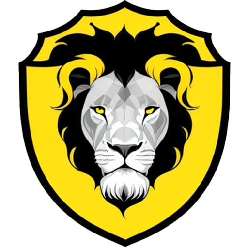 Aplicație pentru Șoferi Profesioniști